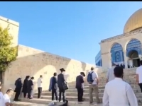 POD ZAŠTITOM VOJSKE: Izraelski doseljenici upali u dvorište džamije Al-Aqsa, izvodili provokativne rituale