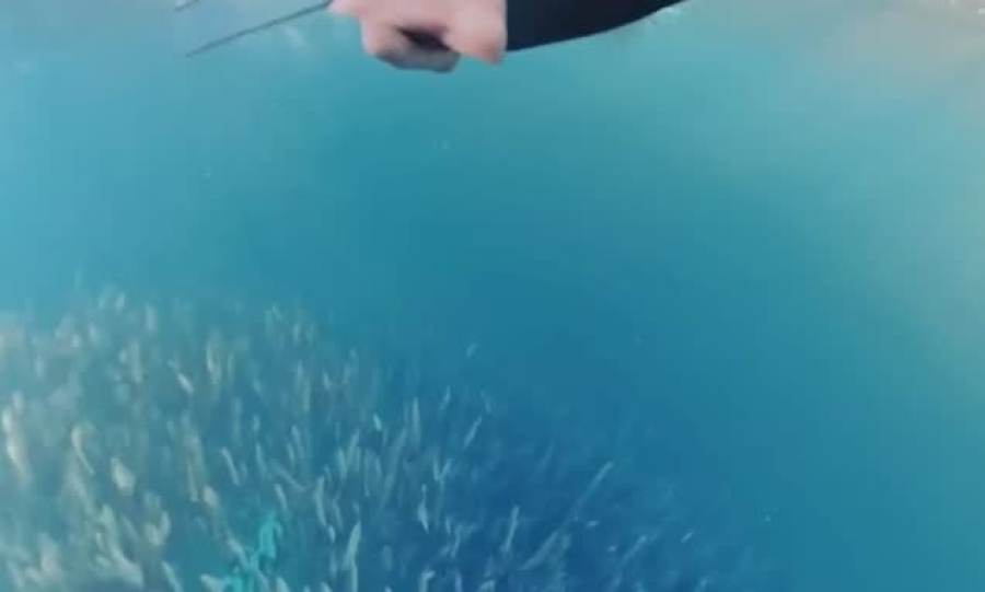 OD OVOGA MOŽE STATI SRCE: Snimljen stravičan momenat, kit zamalo progutao ronioca... (VIDEO)