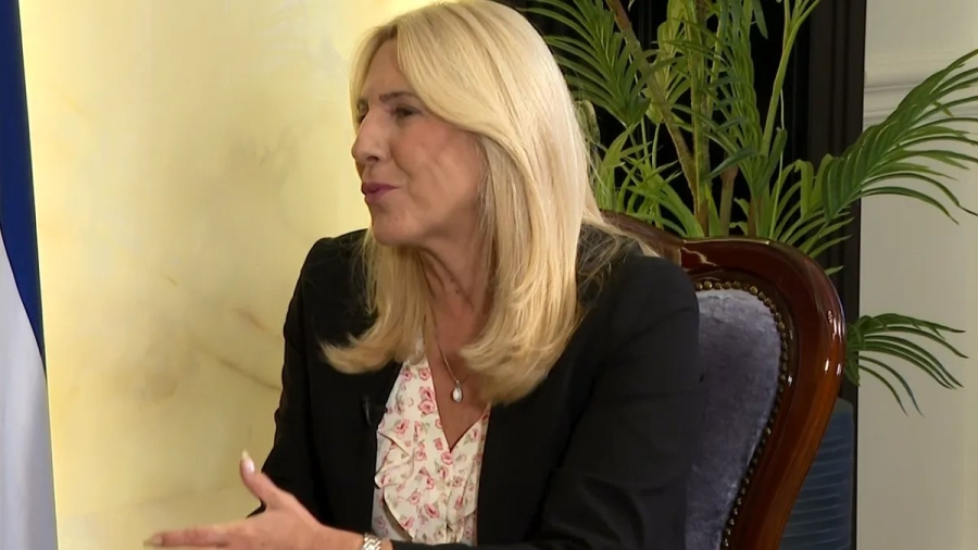 ŽELJKA CVIJANOVIĆ PRIZNALA SVE AVDI AVDIĆU: 'Vjerujem u državu Bosnu i Hercegovinu...'