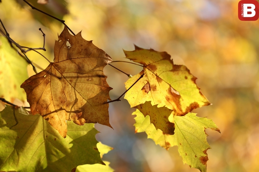 NOVEMBAR SPREMA NOVA IZNENAĐENJA: Evo kakvo nas vrijeme očekuje u narednih 15 dana...