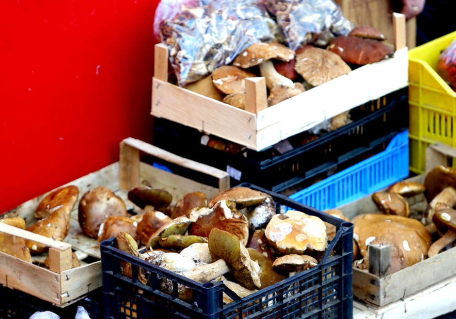 UKOLIKO ŽELITE DA ZADRŽE SVJEŽINU: Gljive nikako ne treba prati, postoje druge jednostavnije metode da ih očistite