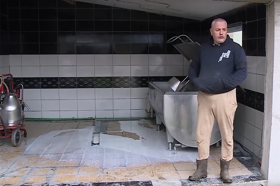 VODA DOŠLA DO GRLA: Mljekari su na koljenima, pogledajte prizore sa bh. farme...