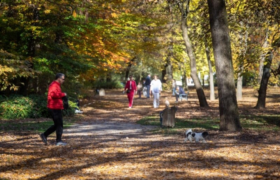 OBJAVLJENA LISTA NAJSIGURNIJIH ZEMALJA NA SVIJETU: Jedna je u našem komšiluku