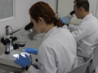 JEDNA OD NAJRJEĐIH: Tek 50 ljudi na svijetu ima ovu krvnu grupu, naučnici je sada pokušavaju stvoriti u laboratoriji