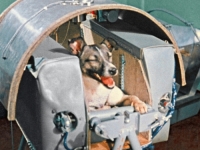 'OKRUTNO I NEPOTREBNO': Tek se sad otkriva istina - šta se desilo sa Lajkom, prvim psom u svemiru?