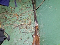 PUŠKA PRONAĐENA U JEZERU: Bacio je krivolovac tokom bjekstva