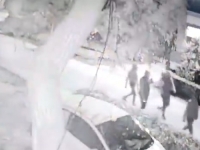 SKANDAL U SRBIJI: Vučićevi sljedbenici snimljeni u akciji, pogledajte šta su uradili na kući Mađarice i Hrvata...