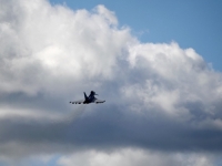 NOVE NAPETOSTI: NATO članica digla avione nakon ulaska drona u zračni prostor