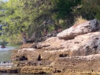 NEVIĐENI NAPAD NA ŽENU IZ BOSNE I HERCEGOVINE: 'Nećeš se kupati u mom moru, stoko' (VIDEO)