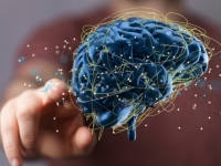 ŠESTO ČULO: Tijelo nas ponekad upozorava prije nego što mozak shvati zašto