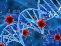 NEOČEKIVANI REZULTATI NOVOG ISTRAŽIVANJA: Otkriven neočekivani saveznik za borbu protiv raka...