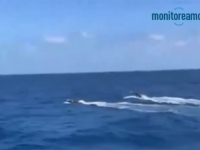 DRAMA NA MORU: Procurila snimka presretanja podmornice na putu u Europu, uhapšene četiri osobe...