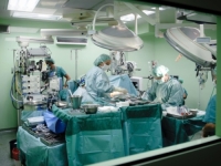 ČUDO MODERNE MEDICINE: Ksenotransplantati će uskoro spašavati živote ljudima