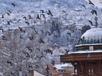 OBJAVLJENA PROGNOZA ZA NAREDNE DANE: Evo koliko će snijega napadati...