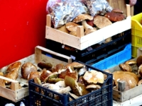 UKOLIKO ŽELITE DA ZADRŽE SVJEŽINU: Gljive nikako ne treba prati, postoje druge jednostavnije metode da ih očistite