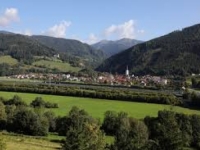 NA RADU U AUSTRIJI: Radnik iz Bosne i Hercegovine teško povijeđen nakon što se drvo obrušilo na njega