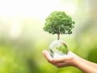 NOVI PODACI AGENCIJE ZA STATISTIKU BiH: U prošloj godini u našoj državi 320 miliona KM utrošeno na...