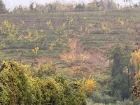 NEVRIJEME NAPRAVILO HAOS U SUSJEDSTVU: Uništena brojna poljoprivredna imanja