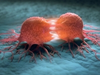 NEVJEROVATNO OTKRIĆE: Ovaj mehanizam bi mogao biti presudan za buduće liječenje raka i tumora...