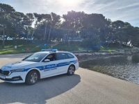 OBJAVLJENI DETALJI TRAGEDIJE U MEDULINU: Sin ubio majku pa sebi oduzeo život