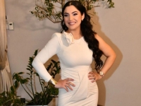 POZNATA  PJEVAČICA IMA STORGA PRAVILA ZA DADILJE: Ne mogu ići kući dok ovo ne urade