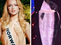 HIT NA INTERNETU: Miss Norveške na predstavljanju kostima oduševila publiku (VIDEO)