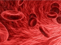 KRVNA GRUPA KOJU IMA MANJE OD 50 LJUDI NA SVIJETU: Da li ste čuli za 'Zlatnu krv'?