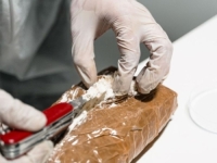 DRŽAVLJANIN BIH IZ ZATVORA U AUSTRIJI VODIO NARKO-BANDU: Organizovao preporadaju narkotika