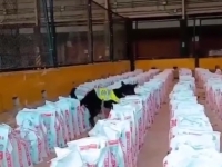 HISTORIJSKA ZAPLIJENA:Kolumbijska policija zaustavila rekordnu količinu kokaina u luci Buenaventura!