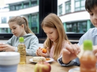 ISLAMSKA ZAJEDNICA ANALIZIRALA STANJE U VRTIĆIMA I ŠKOLAMA: Na jelovnicima manje svinjetine, ali