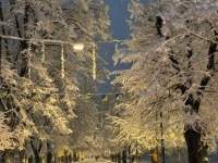 VIŠE KIŠE, MANJE SNIJEGA: BH Meteo donosi prognozu vremena u narednih nekoliko dana