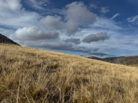 'UJUTRO LOKALNO MRAZ...': BHMeteo objavio prognozu do vikenda, nakon današnje kiše stiže...