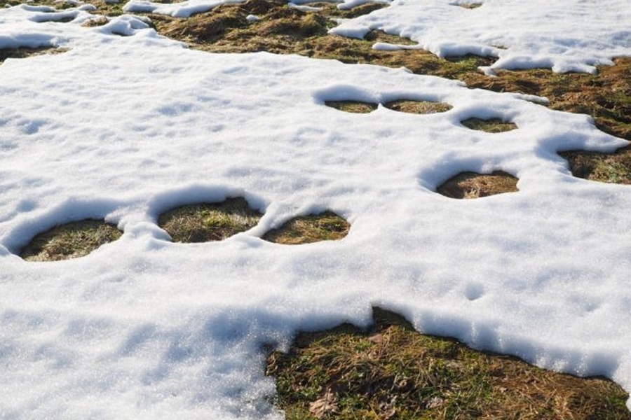 IZNENADNO OTKRIĆE: Slučajno pronašli drevni put star 24.000 godina, vodio je prema…