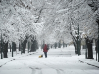 FHMZ OBJAVIO SEZONSKU PROGNOZU: Kakva nas zima čeka, u odnosu na klimatološku normalu ova će biti...