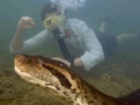 OTKRIVENA TAJNA NAJVEĆE ZMIJE NA SVIJETU: Stručnjaci ostali zaprepašteni (VIDEO)