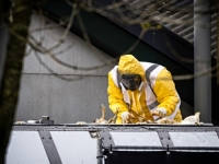 OVAKO BI POČELA PANDEMIJA: Objavljena simulacija širenja ptičje gripe među ljudima