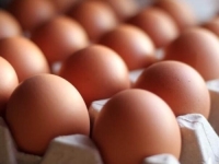 IAKO KVALITET NIJE UPITAN: Bosna i Hercegovina još uvijek ne može izvoziti konzumna jaja A klase na tržište...
