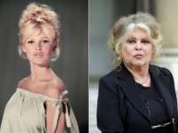 BRIGITTE BARDOT ZBOG SLUČAJA U GORNJEM VAKUFU PISALA BH. VLASTIMA: Tražila rođendanski poklon