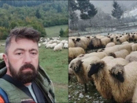 'NEMA IH NA SVIJETU OVAKVIH!': Nakon 20 godina napustio posao i posvetio se čuvanju rijetkog soja ovaca (FOTO)