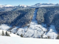 ZAOŠTRAVA SE SITUACIJA U POGRANIČNOM DIJELU: Kosovar na teritoriji Crne Gore nezakonito zauzeo državno zemljište