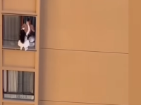 OVOME SE NIJE NADALA: Žena visila sa 10. sprata dok je bježala od supruge ljubavnika (VIDEO)