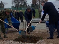 PREDSJEDNIK SRBIJE ZASUKAO RUKAVE: 'Ovdje će biti izgrađene veleljepne zgrade u skladu sa...'