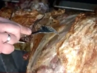 PRIBLIŽILI SE PRAZNICI PA I CIJENE PODIVLJALE: Evo koliko košta jagnje očišćeno za ražanj