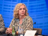 LUDI, ZBUNJENI I NORMALNI U EVROPSKOM PARLAMENTU: Većina o abortusu, HDZ o izbornom zakonu u BiH