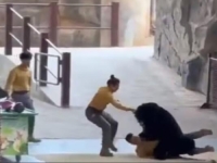 NEVOLJE NA RADNOM MJESTU: Medvjed napao čuvara zoološkog vrta u kineskom Hangzhou (VIDEO)