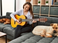 STRUČNJACI OTKRIVAJU: Koju muziku vole slušati psi i mačke