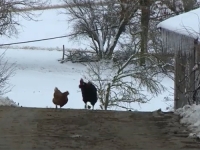 POBUNA U REPUBLICI SRPSKOJ: 'Skoro nijedna fabrika ne radi, a sad i ovo...'