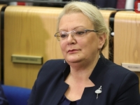 HDZ NE ODUSTAJE: Predsjednica Federacije BiH zahtjevom za ocjenu ustavnosti zaustavlja radove na ključnom plinovodu