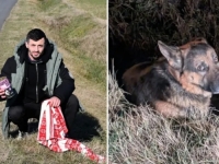 ČOVJEK KOJI VRAĆA NADU U LJUDSKOST: Cijeli noć na cesti čuvao povrijeđenog psa... (FOTO)