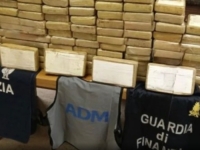 PAO VOZAČ IZ BIH: Pas tragač pod nazivom Jackpot pronašao 138 kilograma kokaina